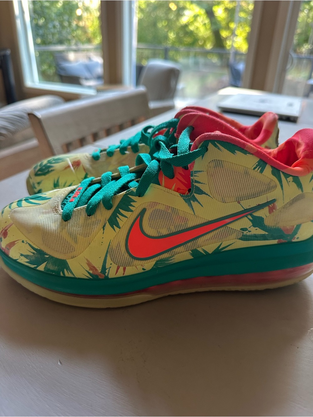 Nike Kids LEBRON 9 LOW
"LEBRONALD PALMER”